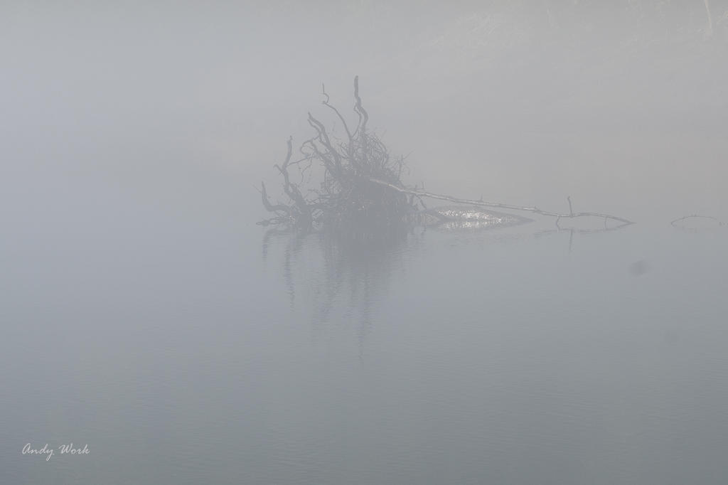 Lake Cumberland 7-25-2020-508251.jpg