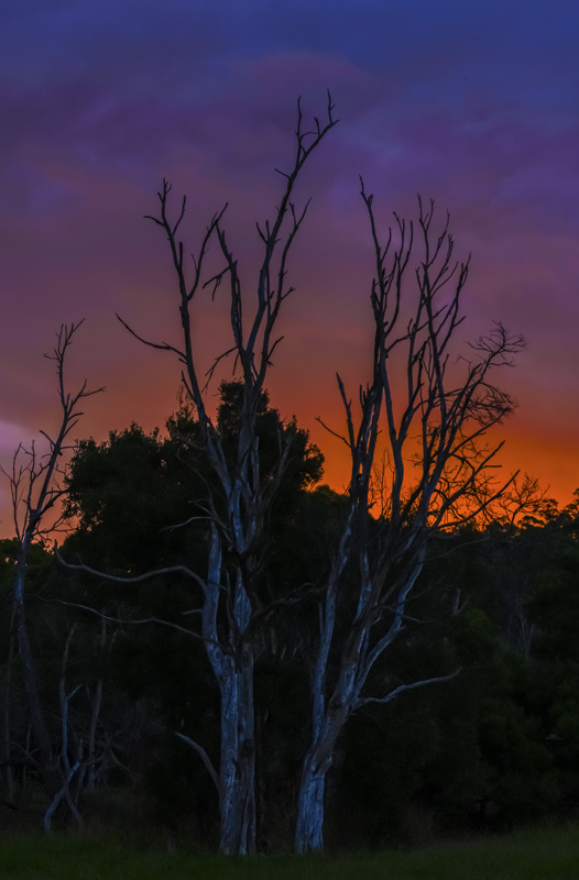 Lake fire-2.jpg