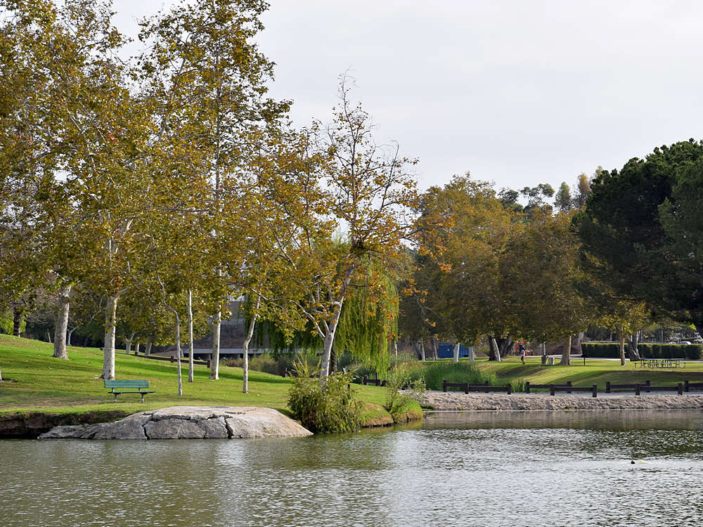 Lake.jpg