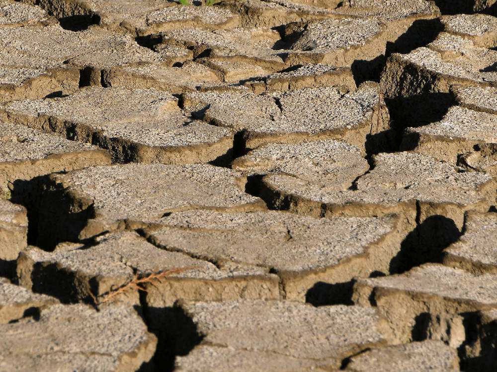 LakeBed.jpg