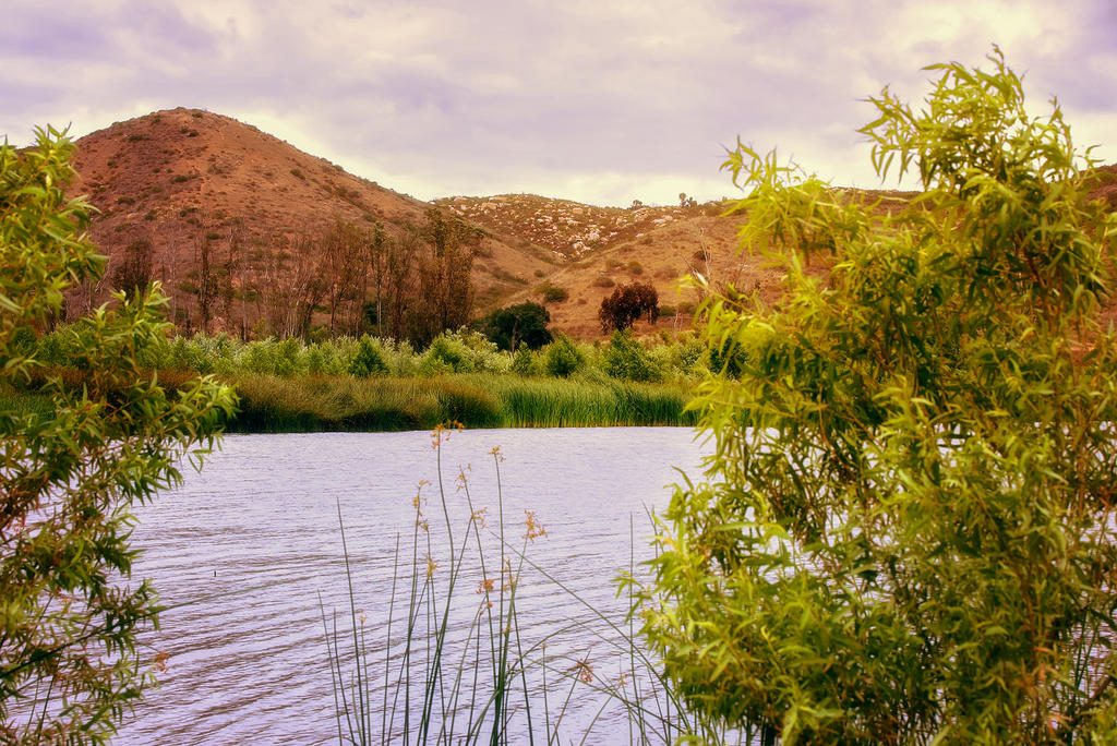Lakeside Dreamscape.jpg