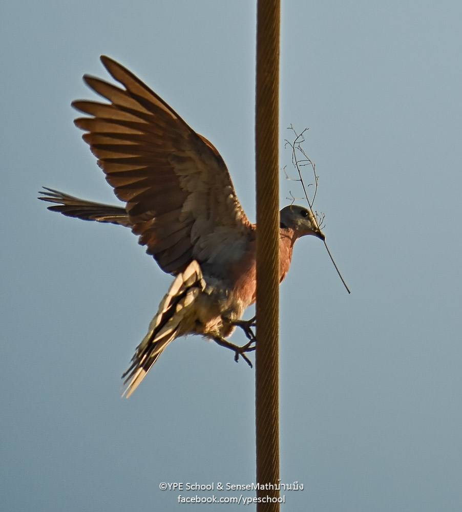 landing-1.jpg