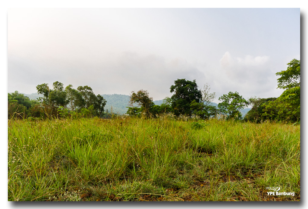 landscaape-banung-2.jpg