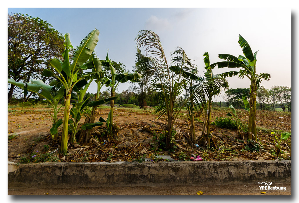 landscaape-banung-3.jpg