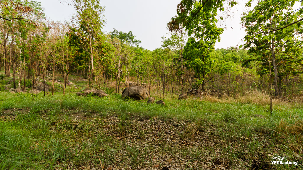 landscape-1.jpg