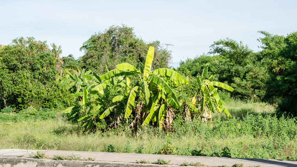 landscape-1.jpg