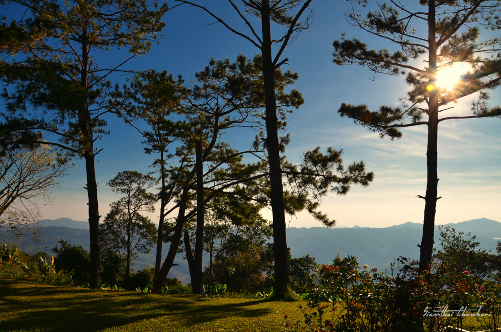 landscape-1.jpg
