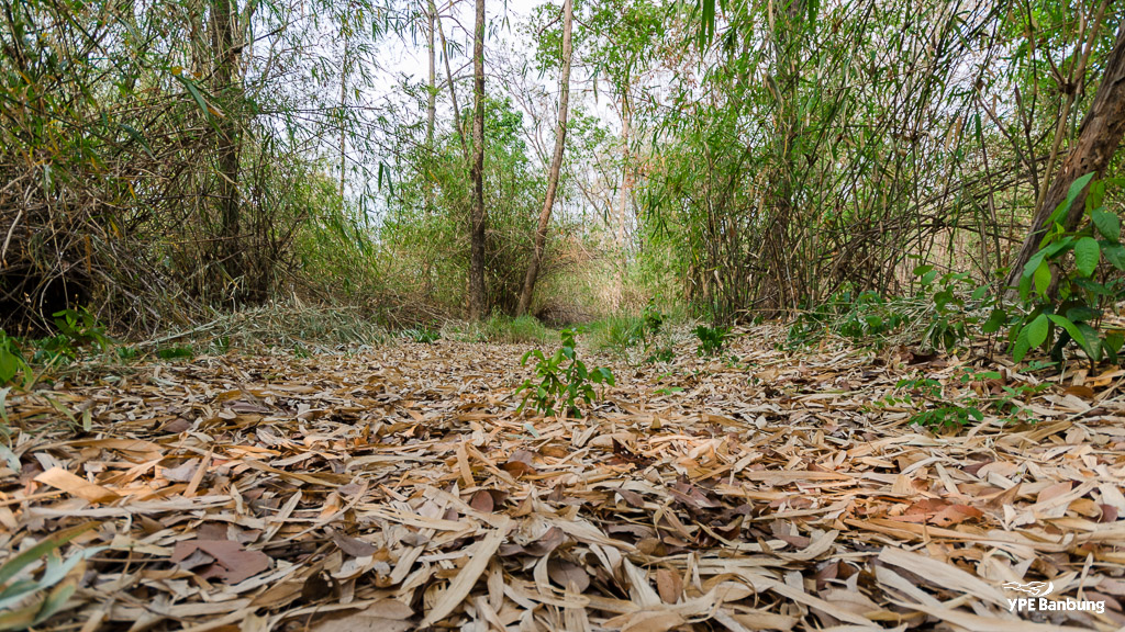 landscape-2.jpg