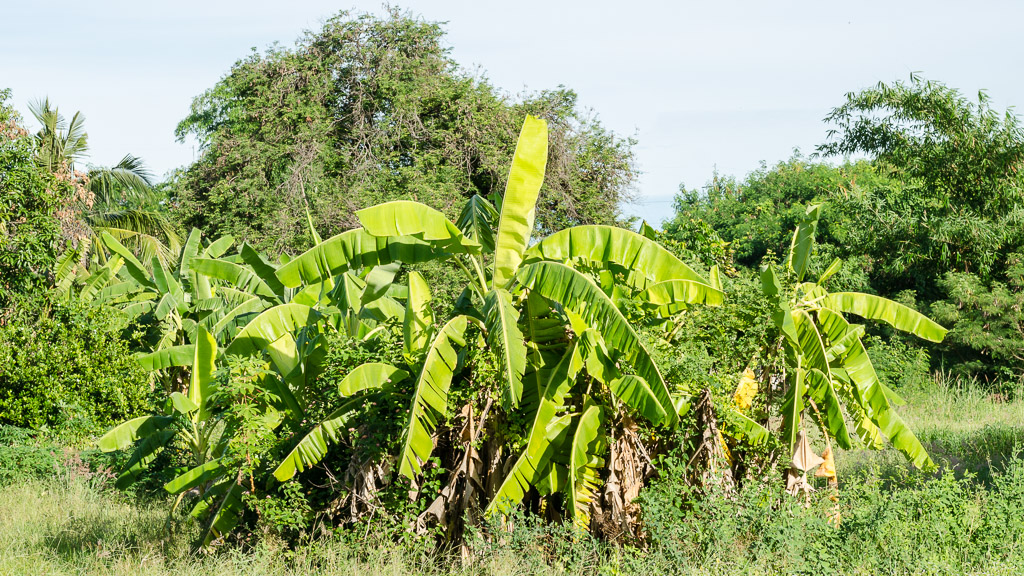 landscape-2.jpg