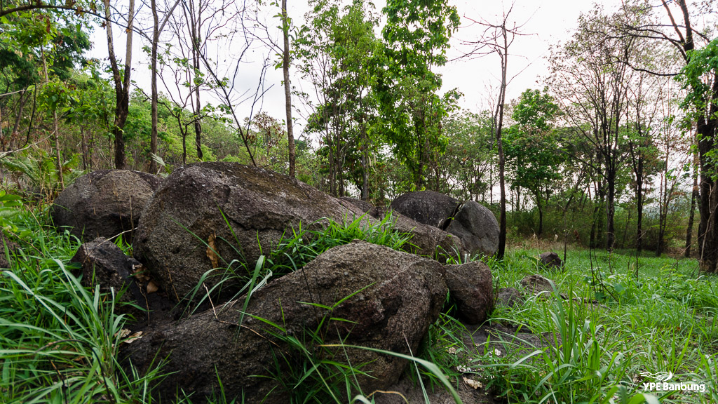 landscape-3.jpg