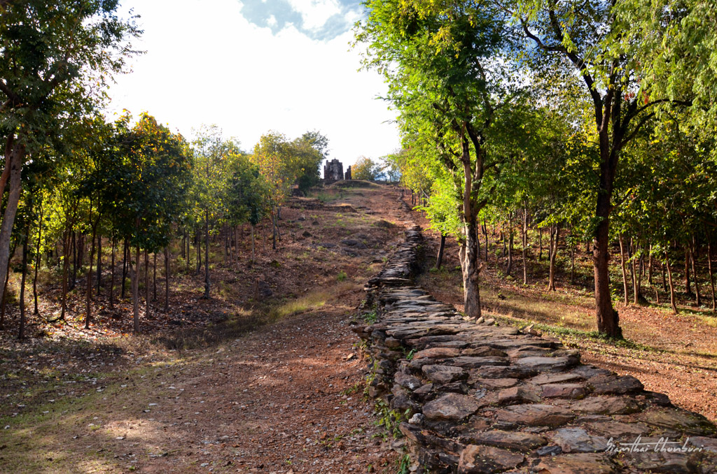 landscape-3.jpg