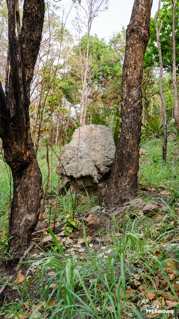 landscape-5.jpg