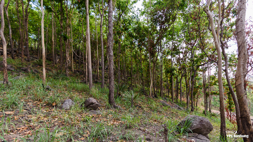 landscape-6.jpg
