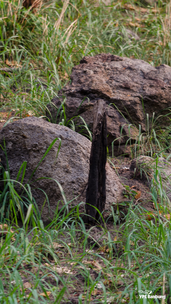 landscape-8.jpg