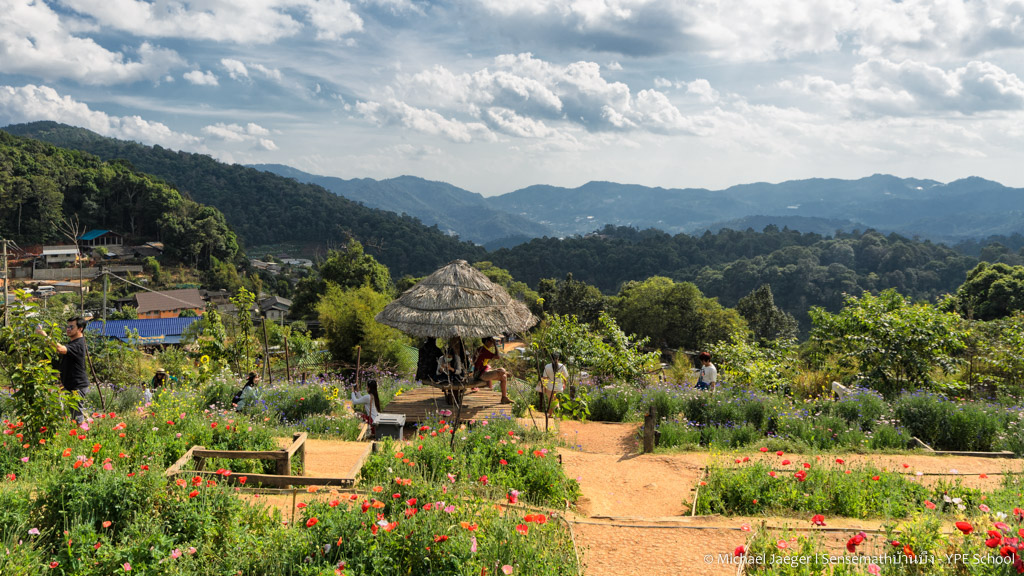 landscape cm 1-1.jpg