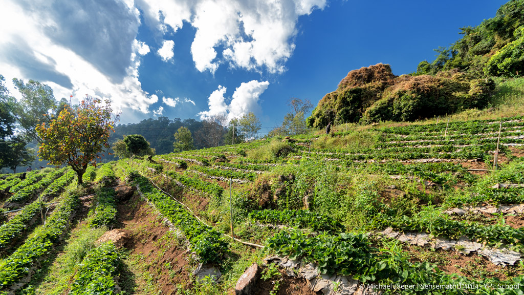 landscape cm 2-1.jpg
