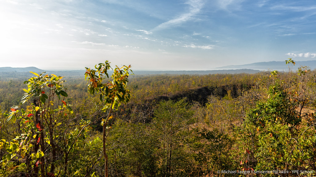 landscape cm 3-1.jpg