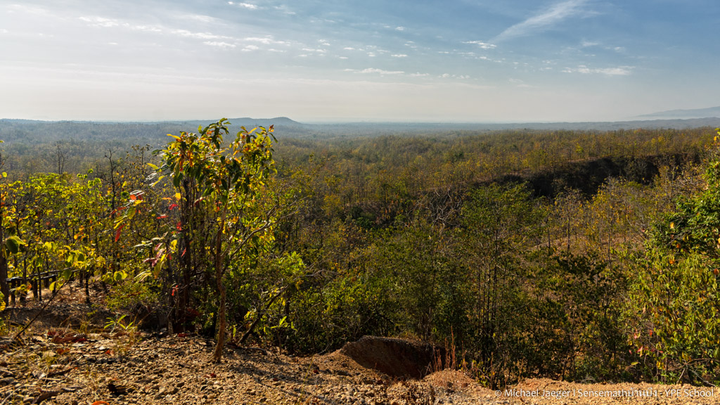 landscape cm 3-2.jpg