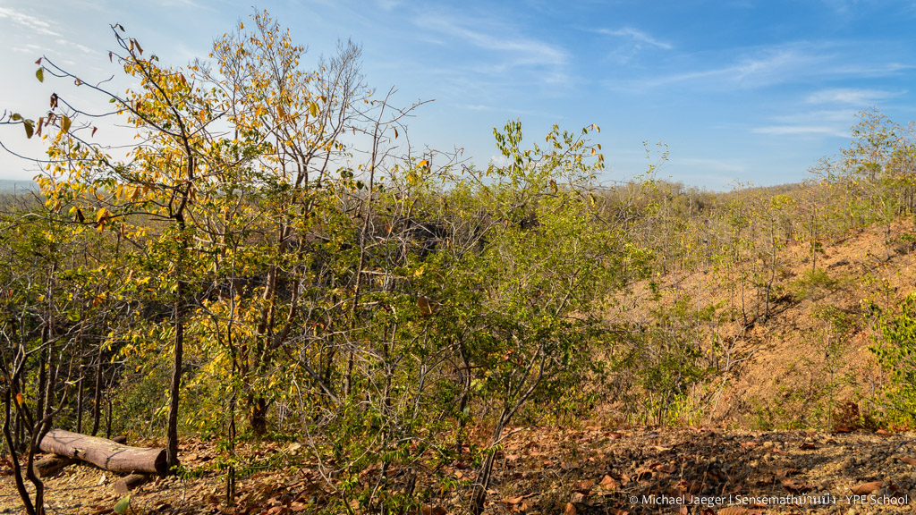 landscape cm 3-3.jpg
