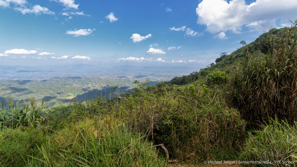landscape cm doi-1.jpg