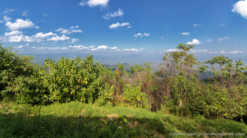 landscape cm doi-3.jpg
