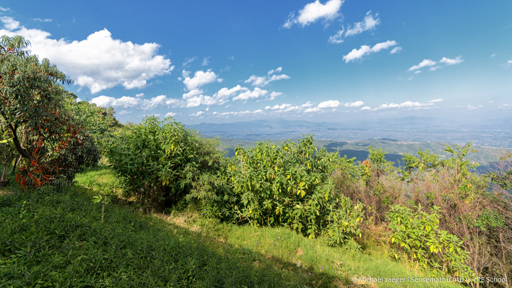 landscape cm doi-4.jpg