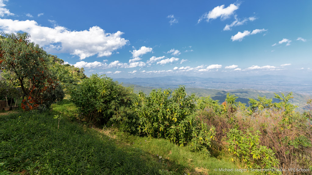 landscape cm doi-5.jpg