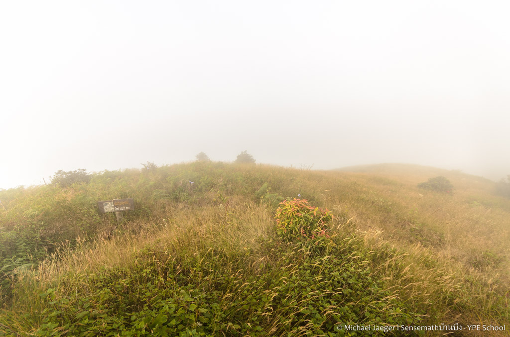 landscape doi inthanon cm foggy-10.jpg