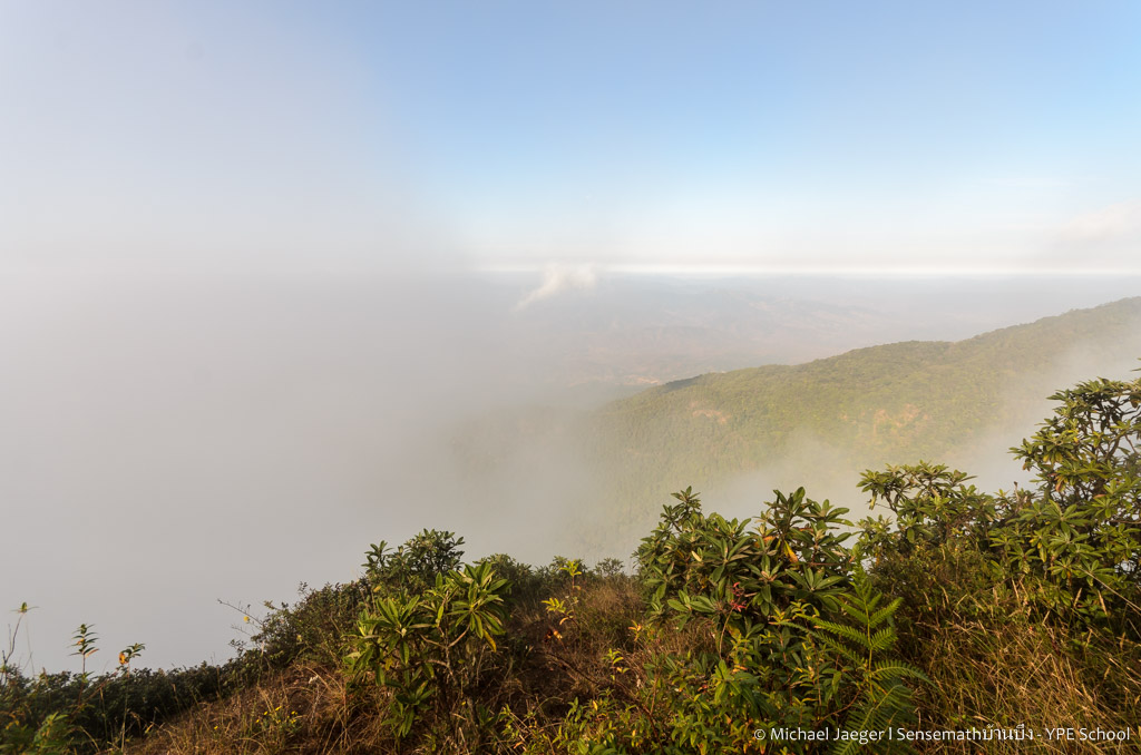 landscape doi inthanon cm foggy-13.jpg
