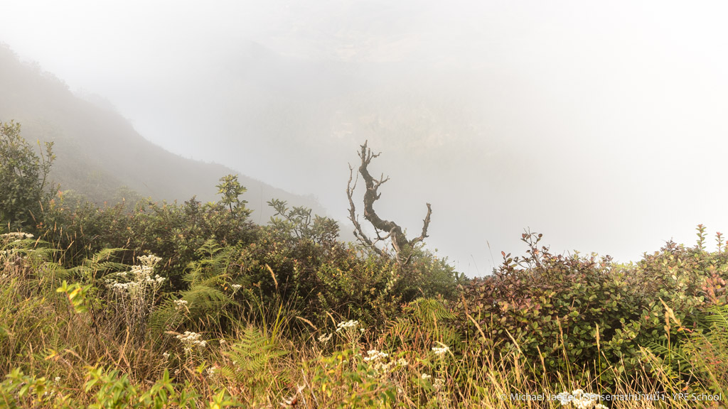 landscape doi inthanon cm foggy-14.jpg