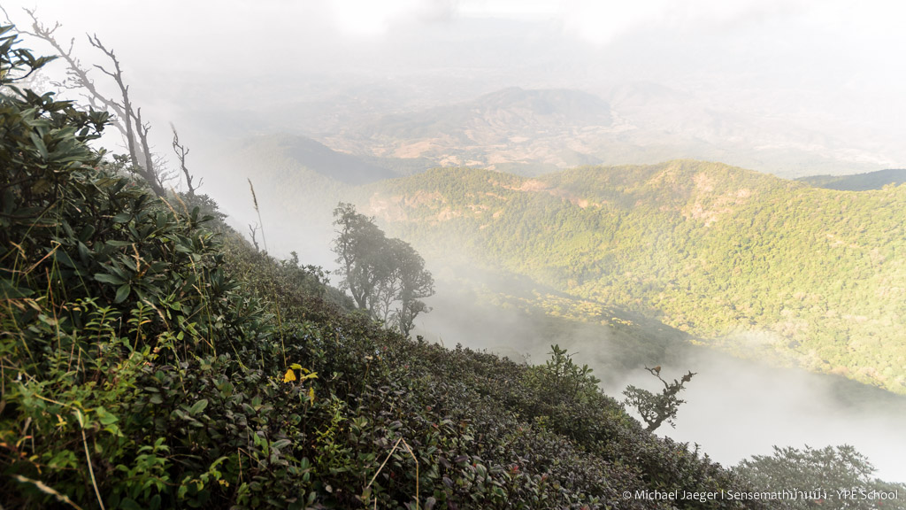 landscape doi inthanon cm foggy-15.jpg