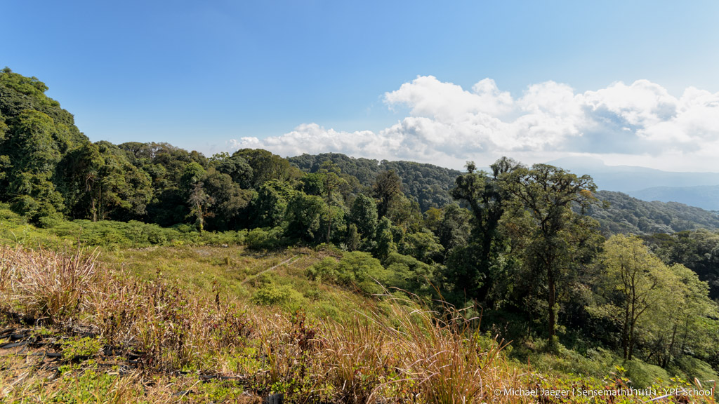 landscape doi inthanon cm landscape-1.jpg