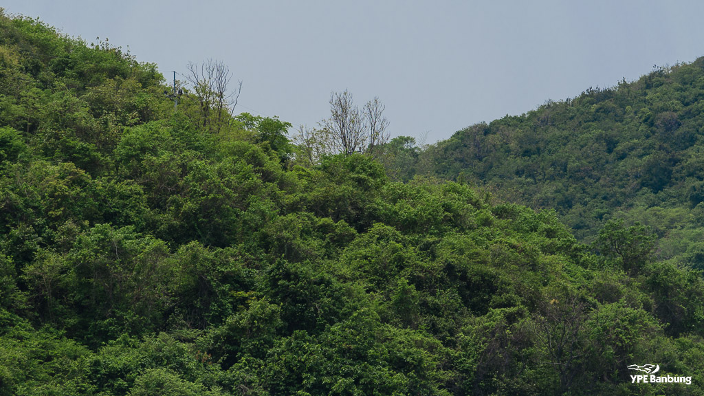 landscape-hill-1.jpg
