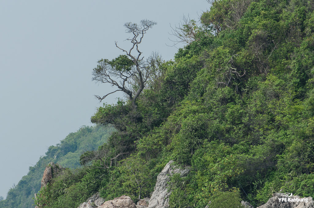 landscape-hill1-1.jpg