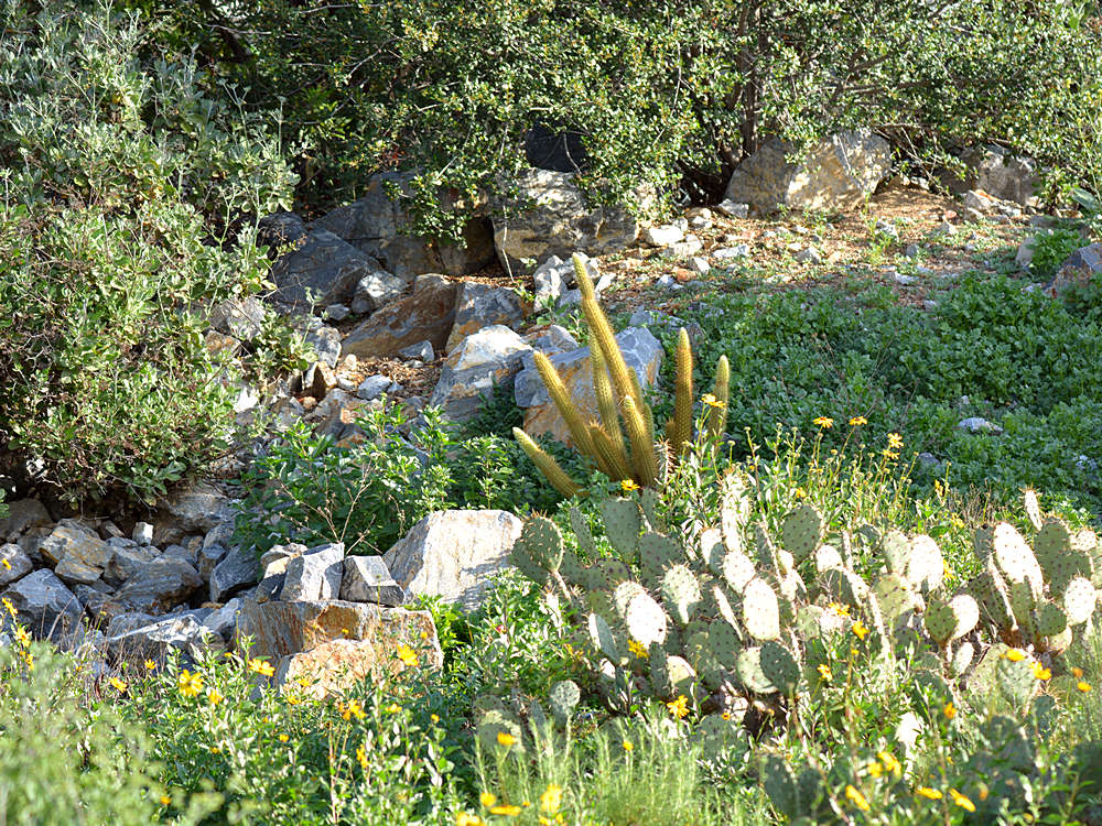 Landscape.jpg