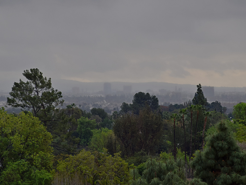 Landscape.jpg