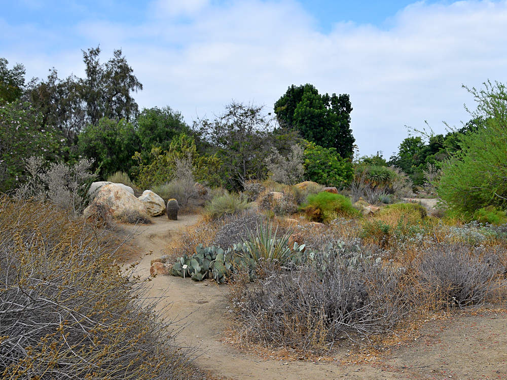 Landscape.jpg