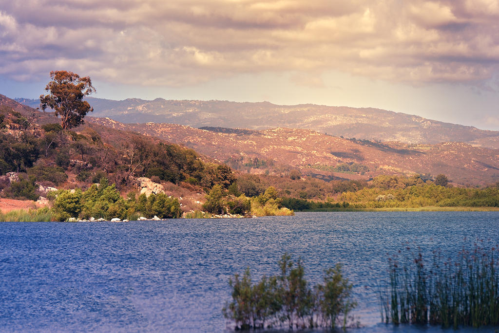 Landscape on the Lake.jpg