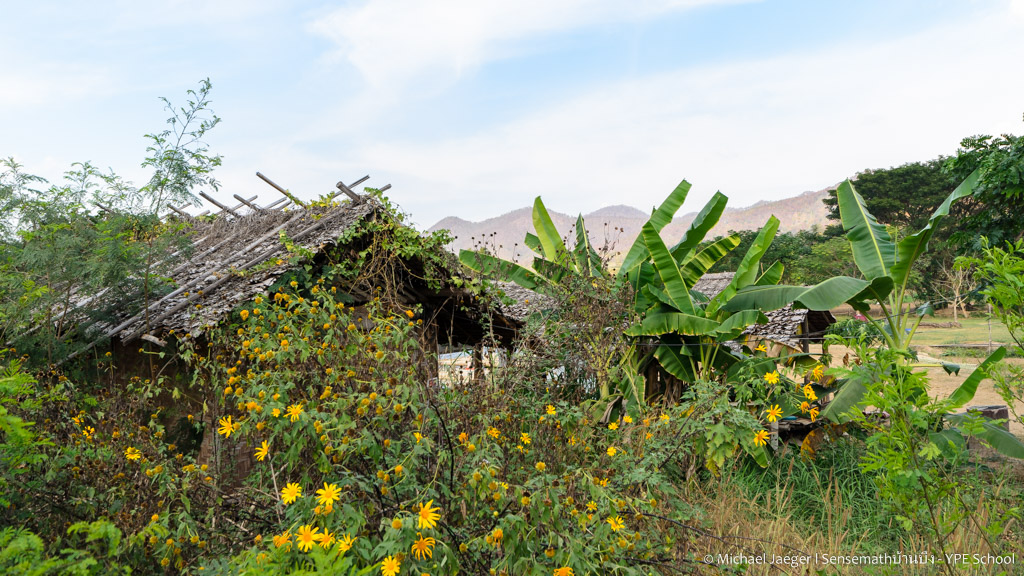 landscape pai-2.jpg
