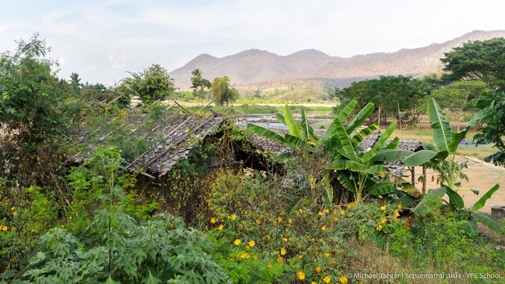 landscape pai.jpg