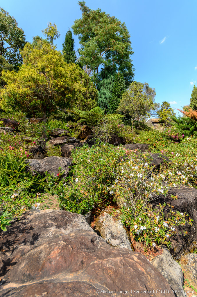 landscape small farm royal project-2.jpg