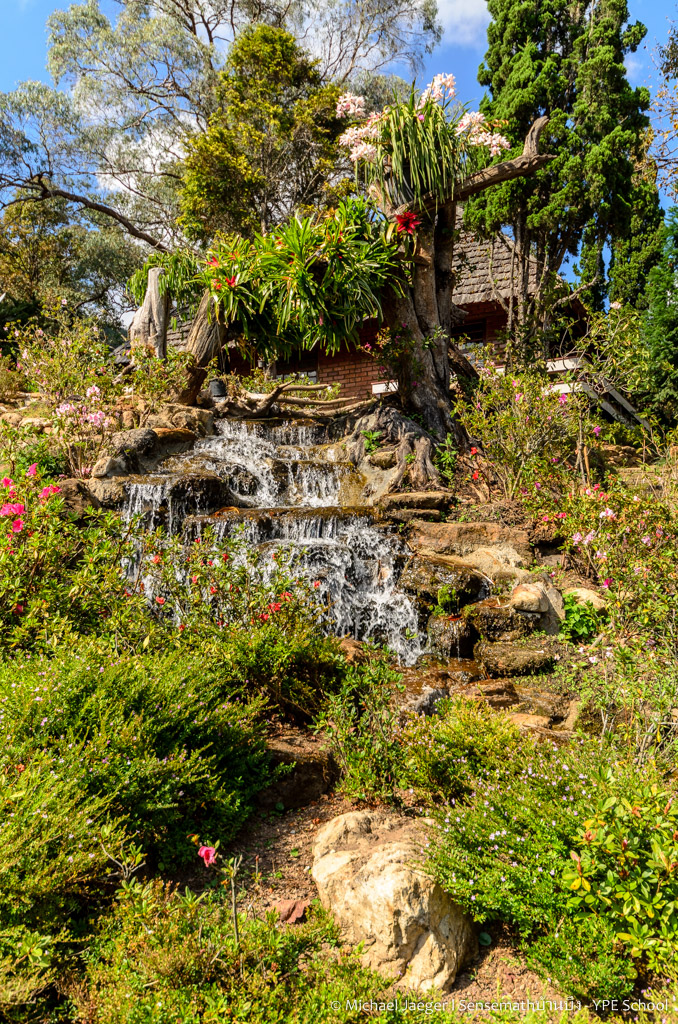 landscape small farm royal project-4.jpg