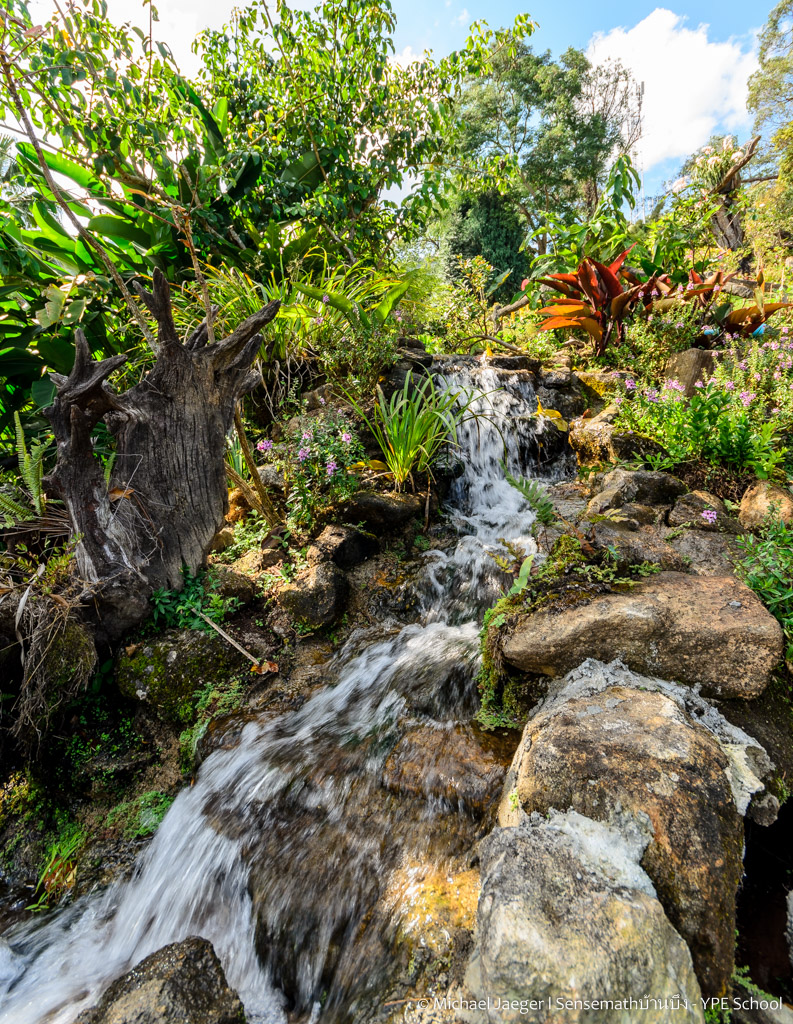 landscape small farm royal project-6.jpg