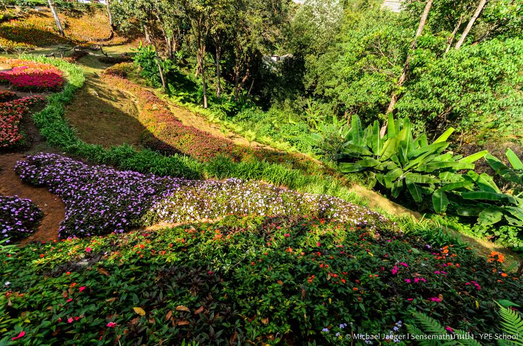 landscape small farm royal project-8.jpg