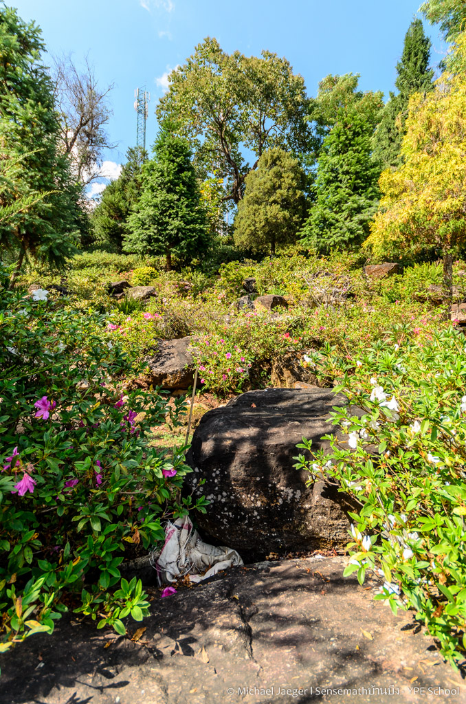 landscape small farm royal project.jpg