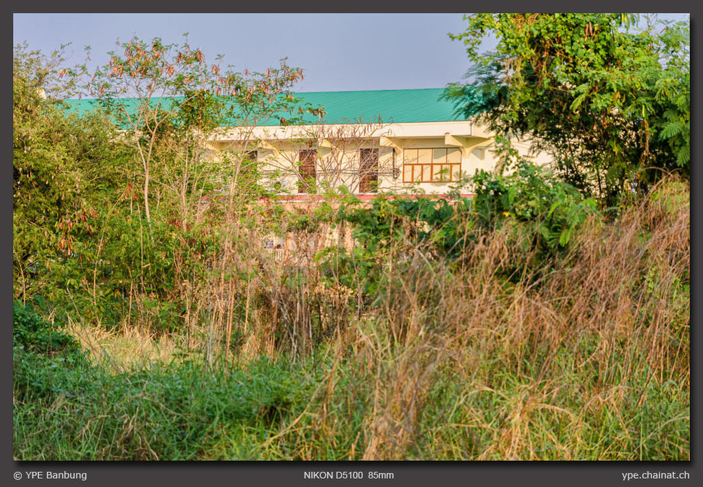 landscape-ype-banbung-6.jpg