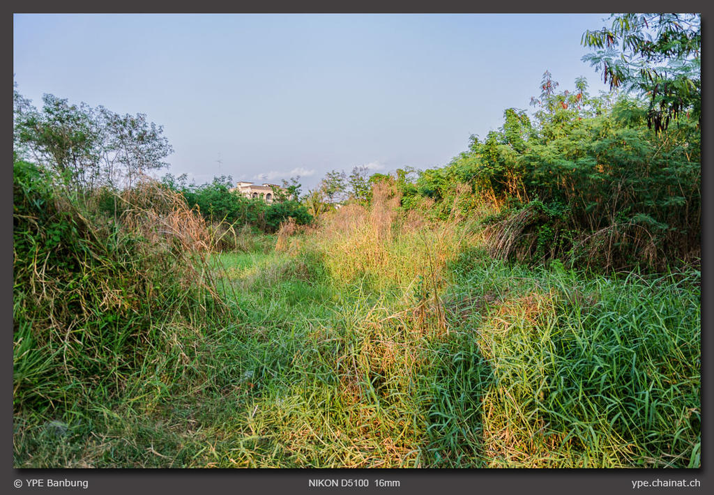 landscape-ype-banbung-8.jpg