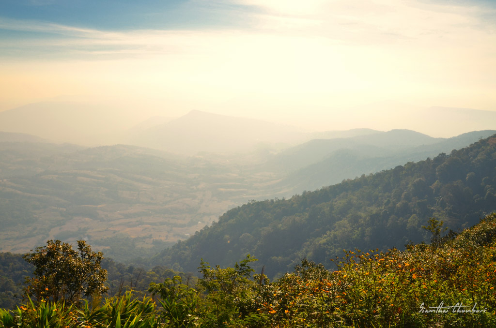 landscape1-1.jpg