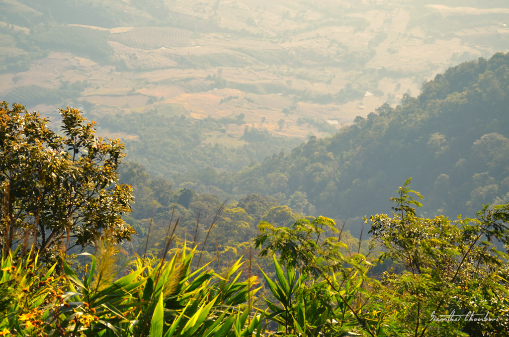 landscape2-1.jpg
