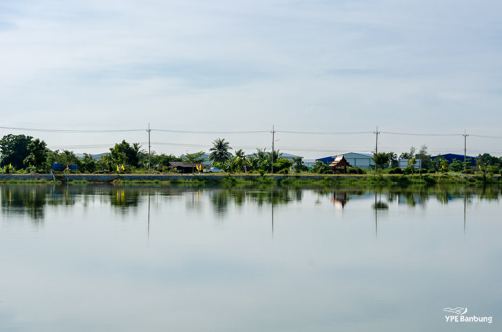 landscape50-1.jpg